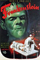 Frankenstein 1931 picture of album cover