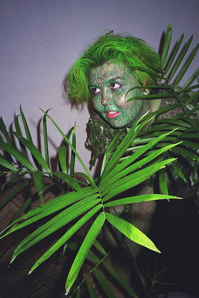 picture of plant stalker