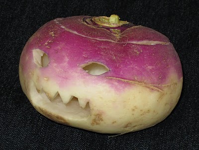 picture of large turnip