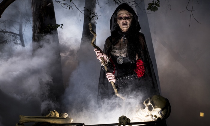 picture of a female witch